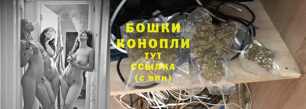 стаф Балахна