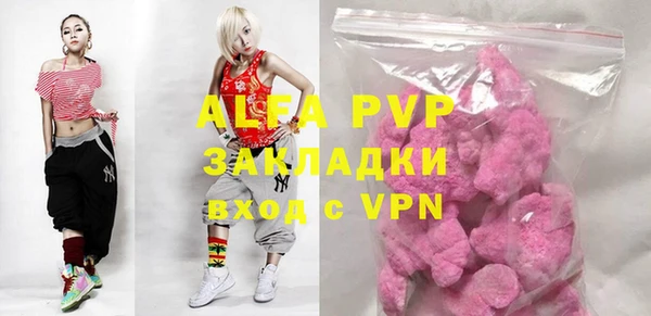 стаф Балахна