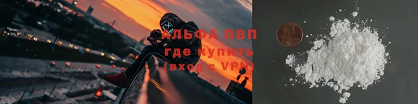 стаф Балахна