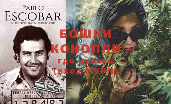 стаф Балахна