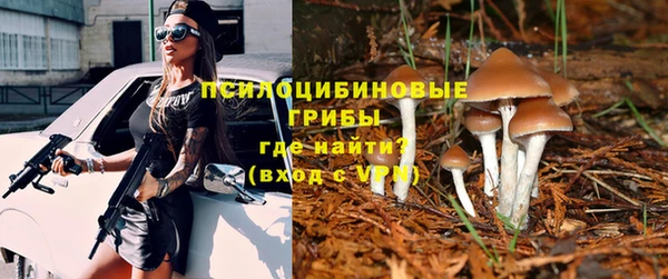 стаф Балахна
