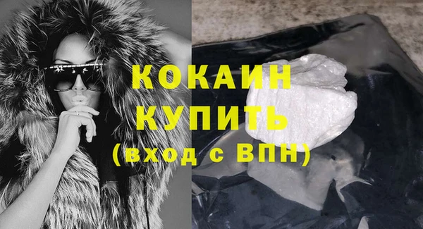 стаф Балахна