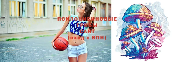 стаф Балахна