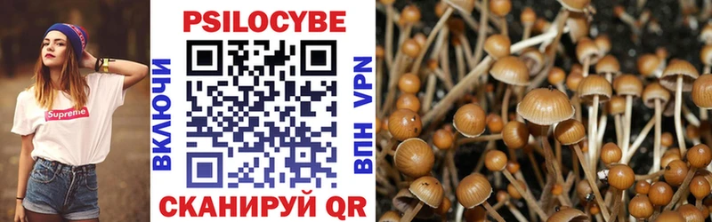 площадка какой сайт  Валуйки  Псилоцибиновые грибы MAGIC MUSHROOMS  что такое наркотик 