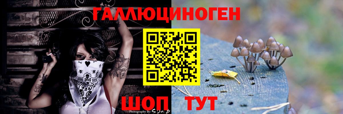 Псилоцибиновые грибы MAGIC MUSHROOMS Валуйки